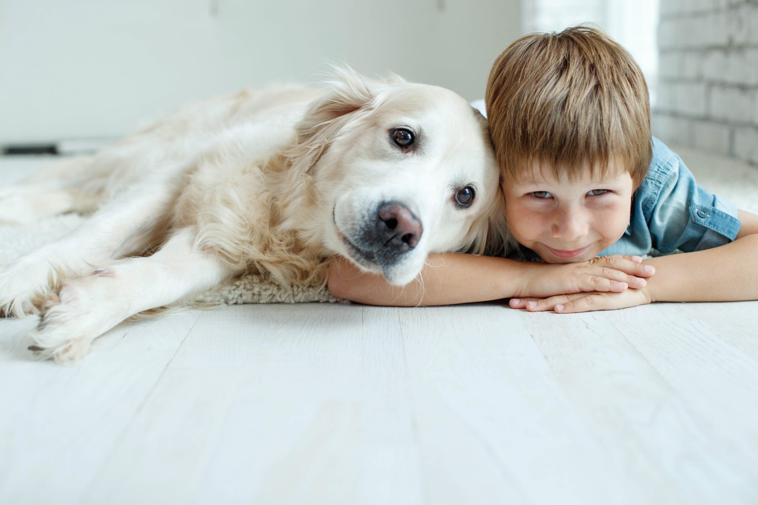 Happy dog and kid